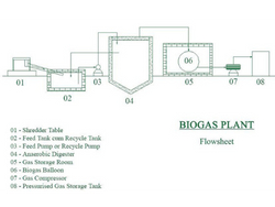 Biogas Plants